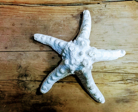 Estrella de mar en blanco mate envejecido, pieza decorativa 