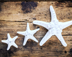 Estrella de mar en cerámica hecha a mano en esmalte blanco. Pieza decorativa, tres tamaños. 